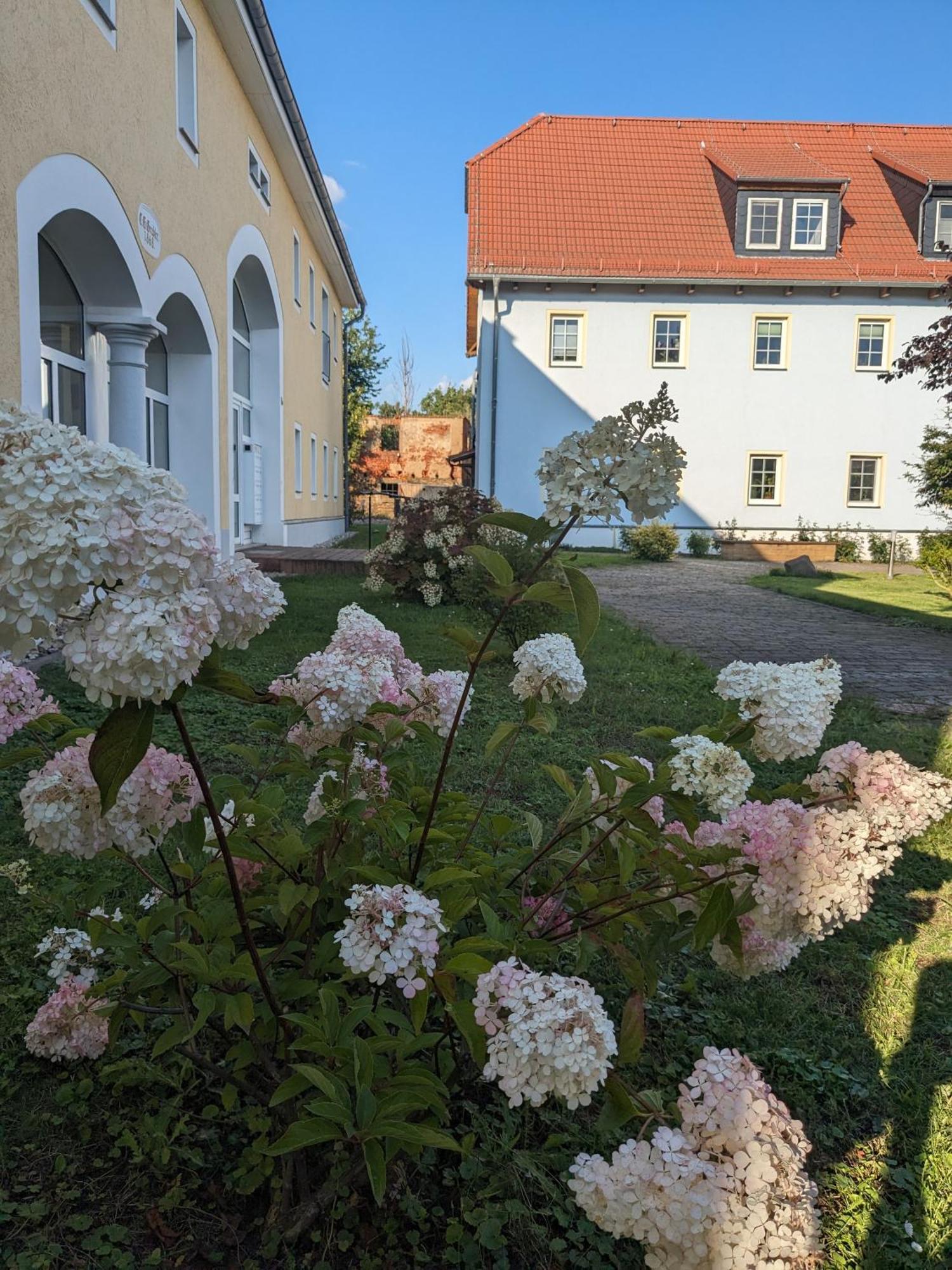 Hof Gruebler Leilighet Klipphausen Eksteriør bilde